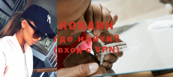сатива Надым
