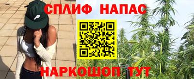 не бодяженный Гатчина