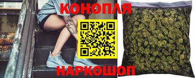 не бодяженный Гатчина