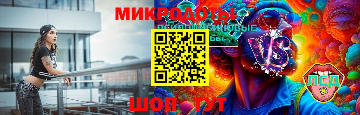 Псилоцибиновые грибы Psilocybe Камышлов