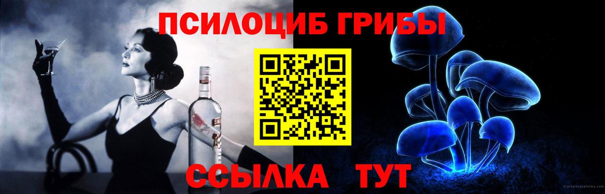 Камышлов  Галлюциногенные грибы мицелий  Вход с VPN  Псилоцибиновые грибы MAGIC MUSHROOMS 